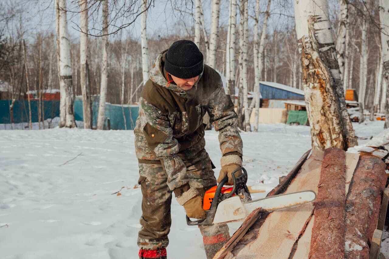 Best Tree Removal Near Me  in Gorman, NC